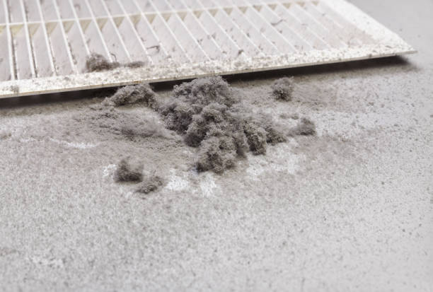 Best HVAC Maintenance and Cleaning  in Tlassee, AL