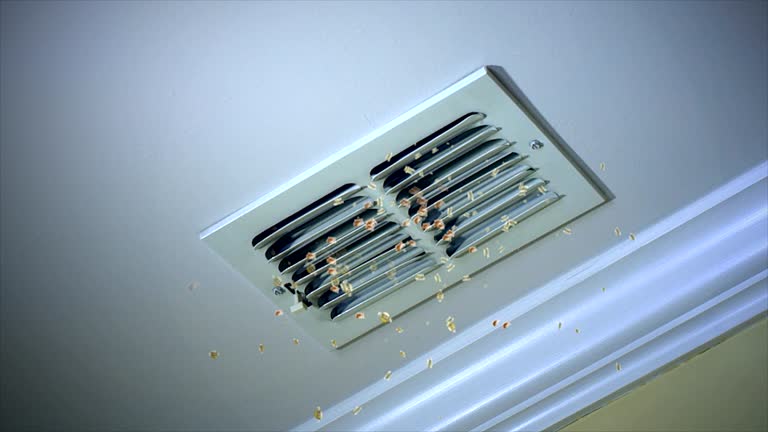 Best HVAC System Cleaning  in Tlassee, AL