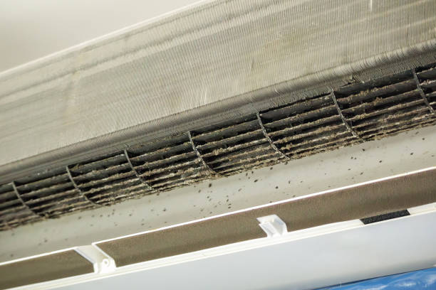 Best HVAC Air Duct Cleaning  in Tlassee, AL